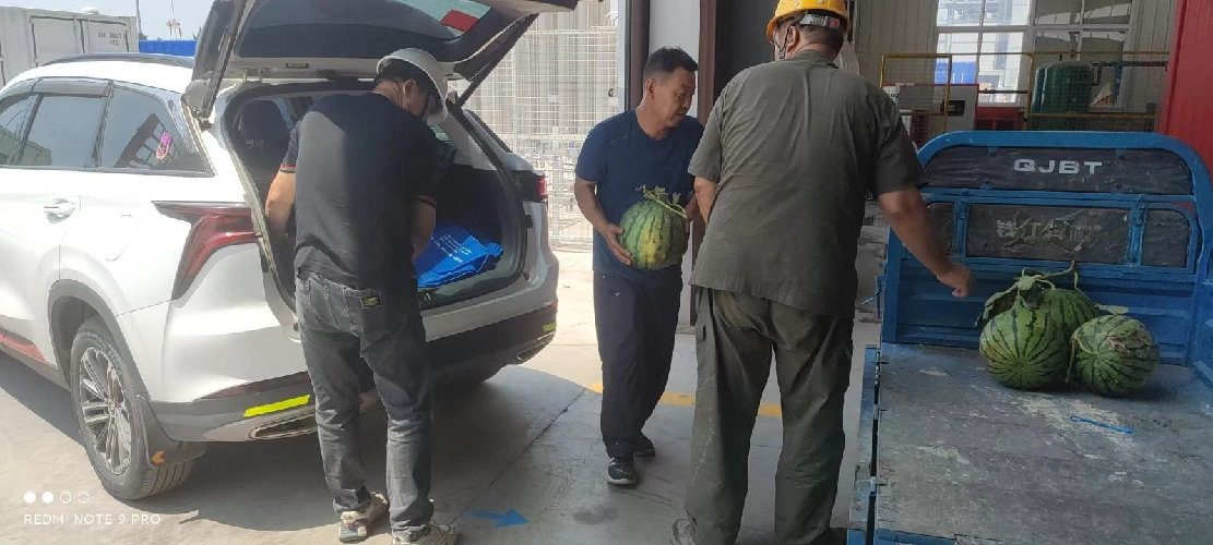 Sende kulhet i svulmende sommer, forene innsatsen for å bekjempe ekstrem varme